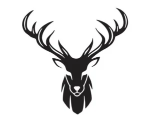 Deer real