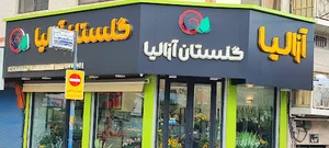گلفروشی آزالیا تنکابن