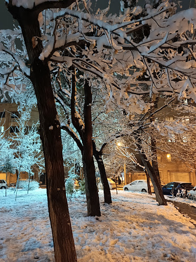 میدان ۱۸