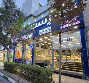 تشک زست 5