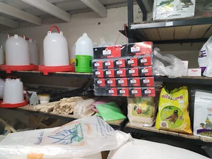 خوراک دام و طیور جیره