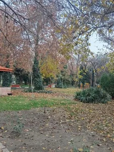 پارک گلها 4