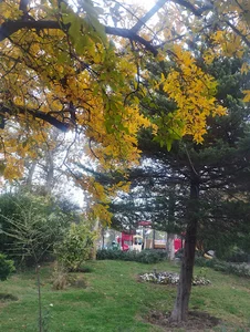 بوستان شهر زیبا