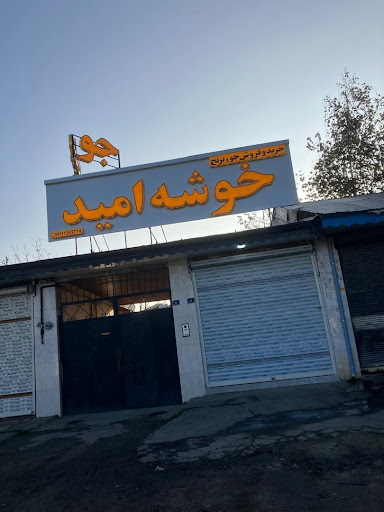 برنج فروشی خوشه امید