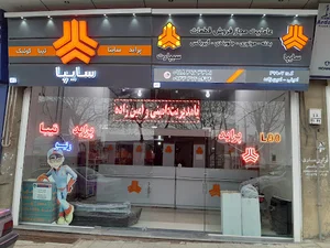 سایپایدک امینی-امین زاده