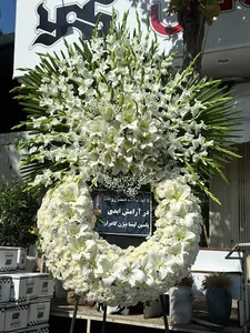 گل یاس شیراز