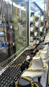 بدلیجات هادی