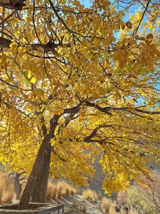پارک آبخیز گردو