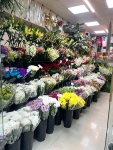 گل فروشی افشین 4