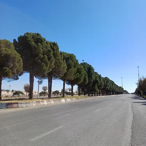 باسکول درب ورود گمرک