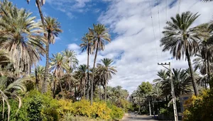 تفرجگاه شیخ احمدی