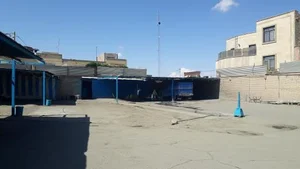 کارواش بزرگ جوان 4
