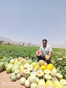 خدمات کشاورزی غلامی