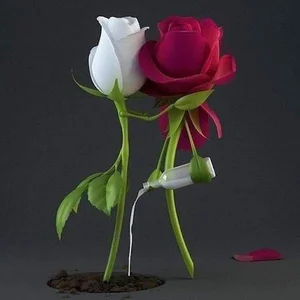 مرغ فروشی