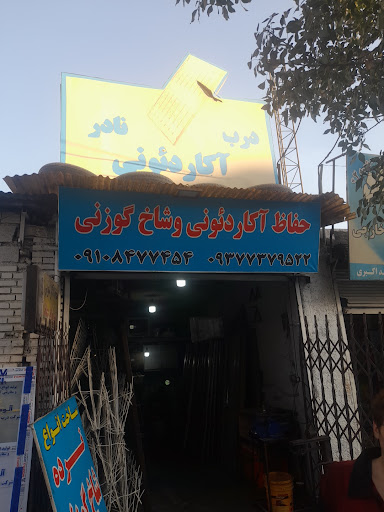 فردیس