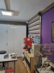 کلینیک دامپزشکی دی