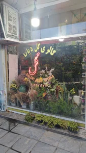 گالری گل دیانا