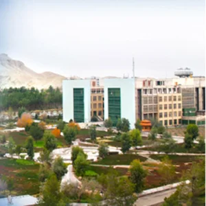 کلینیک حقوقی مفید