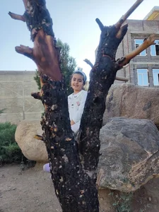 بوستان بانوان مریانج