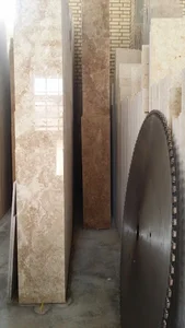 سنگبری آسیا