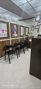 Fardin Physiotherapy فیزیوتراپی فردین 2
