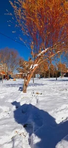 بوستان قائم 3