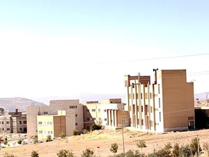 دانشگاه ایلام