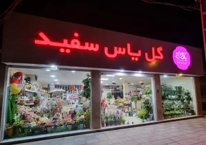 گل فروشی یاس سفید 3
