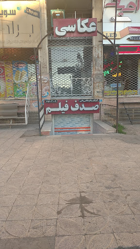 صدف فیلم