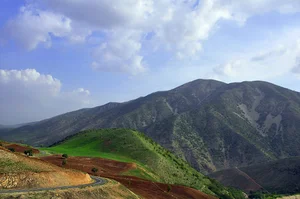 کوه شاهو