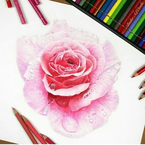 هنرکده ثریا