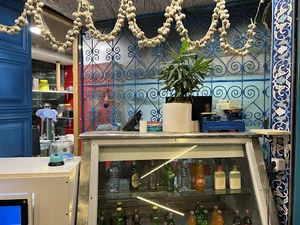 چلوشیش مگسی