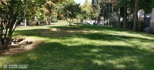 بوستان علوی 4