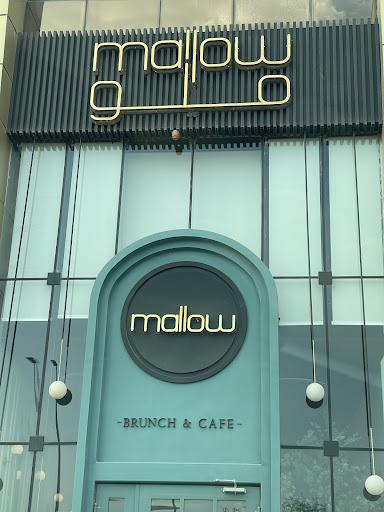 mallow - ملو