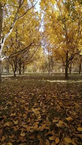 باغ و پرورش ماهی اسفندیار زرینی