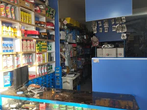 لوازم یدکی بیگلری
