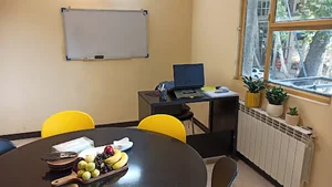 آکادمی زبان مصفا