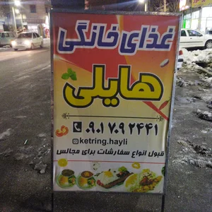 غذای خانگی هایلی 4