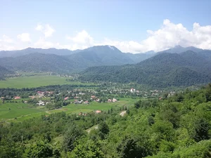 بام سبز ماکلوان