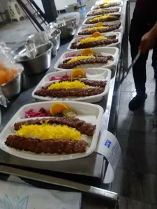 غذای باتو (پیک رایگان)