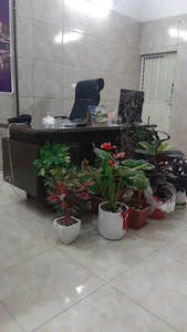 فروشگاه یاس