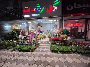 گل رشت-Rasht Florist