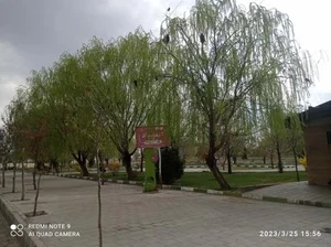 بوستان المپیاد 2