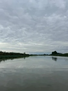 اسکله تفریحی ملکی