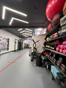 Rasta Physiotherapy Clinic ( کلینیک فیزیوتراپی راستا)