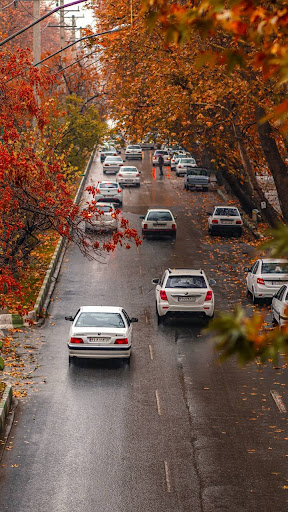 خیابان دانشکده Daneshkadeh Street
