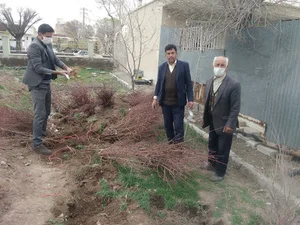 جهاد کشاورزی