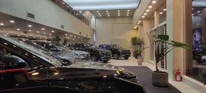 نمایندگی مدیران خودرو فونیکس