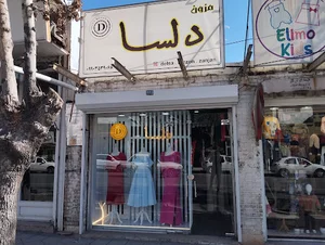 مزون دلسا (زنجان)