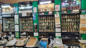 خانه گیاهان سنتی